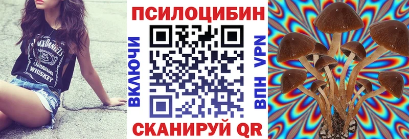 Псилоцибиновые грибы прущие грибы  Купить закладки  Грязи 